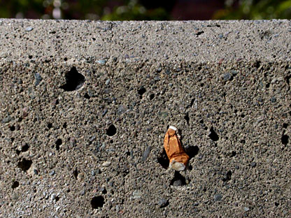 cigs stuck in the wall